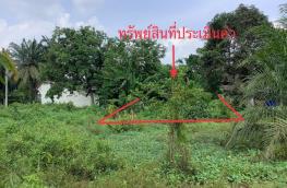 กดที่นี่เพื่อแสดงรายละเอียด