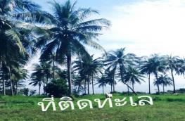 กดที่นี่เพื่อแสดงรายละเอียด
