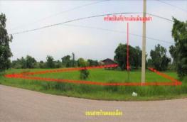 กดที่นี่เพื่อแสดงรายละเอียด