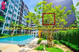 Click here to view detail
