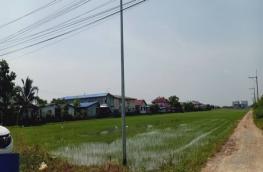 กดที่นี่เพื่อแสดงรายละเอียด