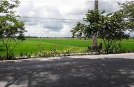 กดที่นี่เพื่อแสดงรายละเอียด