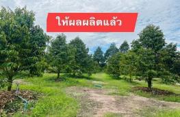 กดที่นี่เพื่อแสดงรายละเอียด