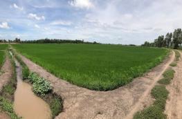 กดที่นี่เพื่อแสดงรายละเอียด