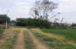 กดที่นี่เพื่อแสดงรายละเอียด