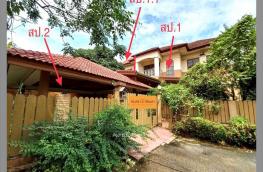 Click here to view detail