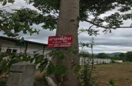 กดที่นี่เพื่อแสดงรายละเอียด