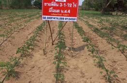 กดที่นี่เพื่อแสดงรายละเอียด