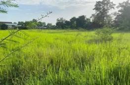 กดที่นี่เพื่อแสดงรายละเอียด