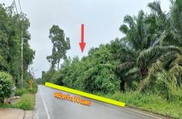 กดที่นี่เพื่อแสดงรายละเอียด