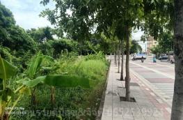 กดที่นี่เพื่อแสดงรายละเอียด