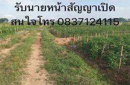 กดที่นี่เพื่อแสดงรายละเอียด