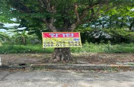 กดที่นี่เพื่อแสดงรายละเอียด