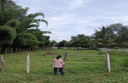 กดที่นี่เพื่อแสดงรายละเอียด