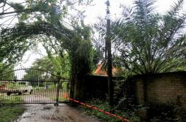 กดที่นี่เพื่อแสดงรายละเอียด