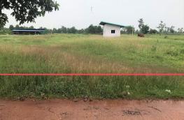 Click here to view detail