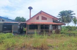 Click here to view detail