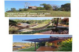 กดที่นี่เพื่อแสดงรายละเอียด