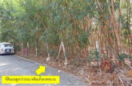 กดที่นี่เพื่อแสดงรายละเอียด